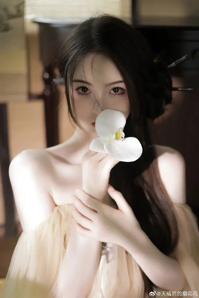 PDF官网下载界面对比图